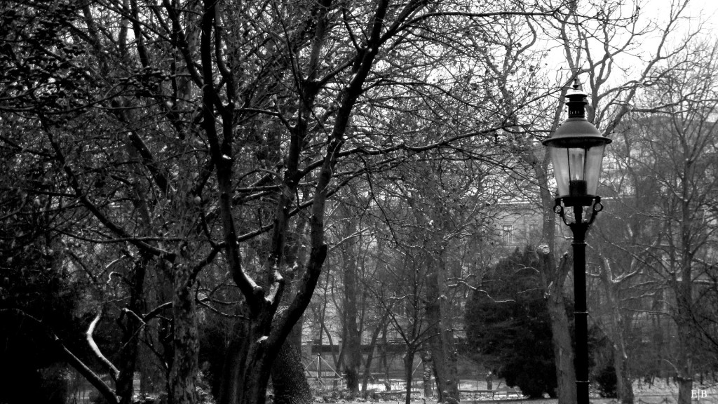 O_DSC04191